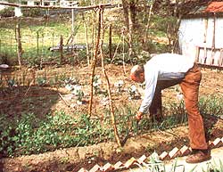Back to the Land: Homesteading in the City Image